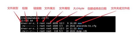 Chmod 640 Command 的图像结果