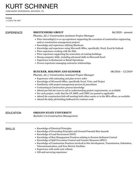 Assistant Project Manager