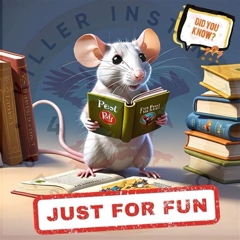 Fun Fact Friday… Did you know? Rats are known for their problem-solving ...