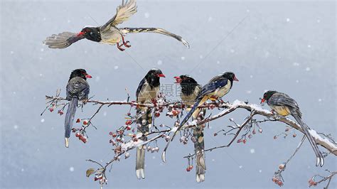 雪和鸟插画图片下载-正版图片400951991-摄图网