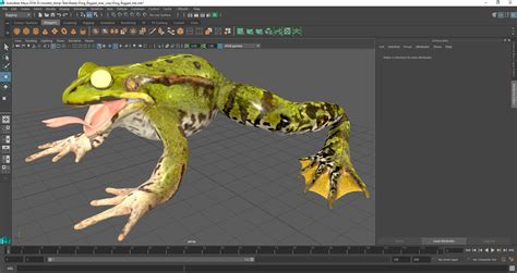 Image result for Frog Mesh Tutorial Maya