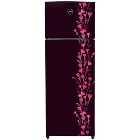 Godrej 294 L 2 Star Inverter Frost Free Double Door Refrigerator (RT ...