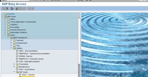 Image result for SAP Data Query