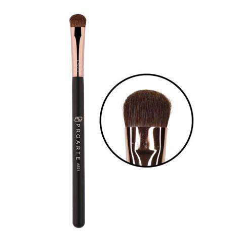 Proarte Eyelid Applicator Makeup Brush Black AE21 – Mani Ram Balwant Rai