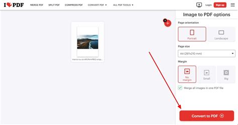 Image En PDF 的图像结果