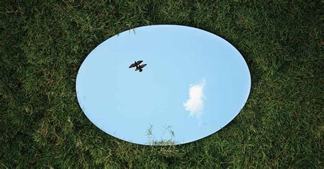 Image result for How to Reflect an Image