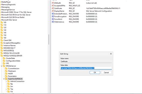 Image result for Microsoft SQL Error 1475