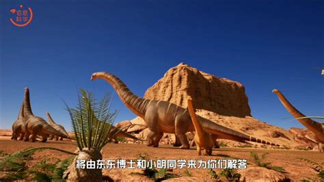 恐龙：称霸之路 揭秘恐龙的前世今生