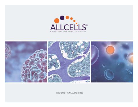 All Cell 的图像结果