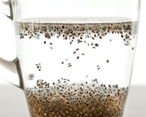 Chia Seeds 101 | Metropolitan Market