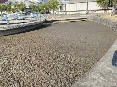 缺氧区和二沉池大量污泥上浮，是什么原因？SVI正常 - 土木在线