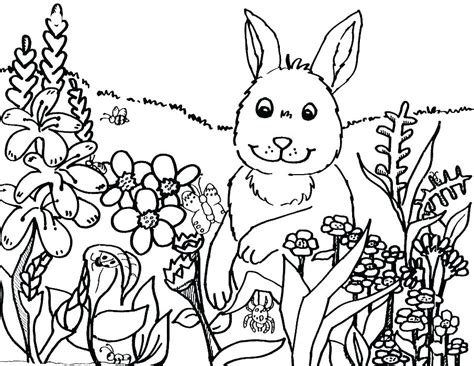 Biology Coloring Pages 的图像结果