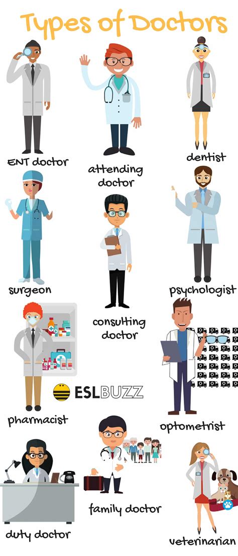 Types Of Doctors And Surgeons