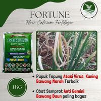 Jual Daun Bawang 1 Kg Oktober 2025 Harga Termurah - Cicil 0% 3x di ...