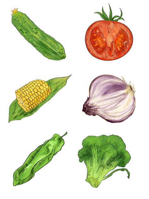 Hand Drawn Vegetables White Transparent, Vector Hand Drawn Vegetable ...