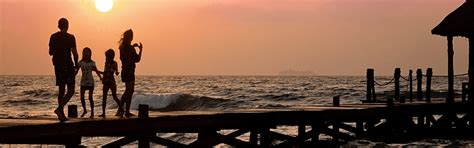 HIBL - Hindustan Insurance Brokers Limited