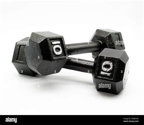 Are 10 Pound Weights Good at William Gainey blog