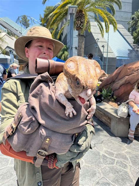 Video / Photos: Meet Dolores the Adorable Aquilops from "Jurassic World ...