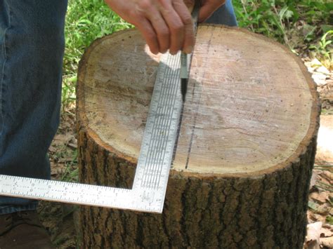 Image result for Bowl Turning Tutorials