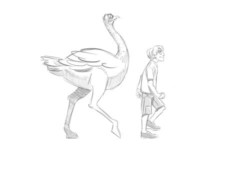 Image result for How2DrawAnimals Cartoon