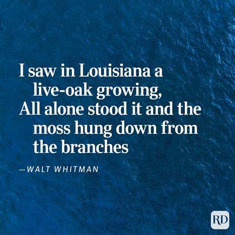 Nature Poems 的图像结果