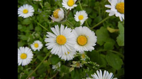 Darktable Retoque Tutorial 的图像结果