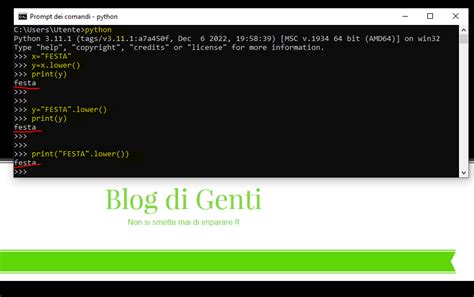 Image result for How to Use Lower in Python