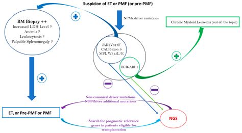 Impact of Molecular Biology in Diagnosis, Prognosis, and Therapeutic ...