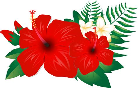 Hibiscus Flower – Free Clipart #3870412 | Clipart Library