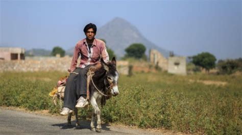 Why The Number of Donkeys In India Decreased