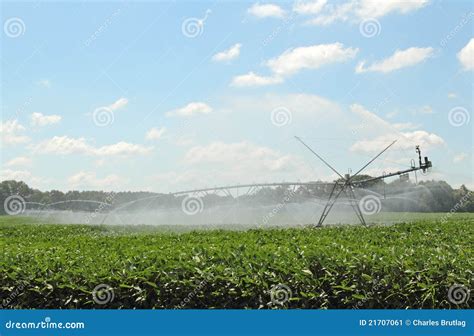 Soy Crop Irrigation stock image. Image of farm, crop - 21707061