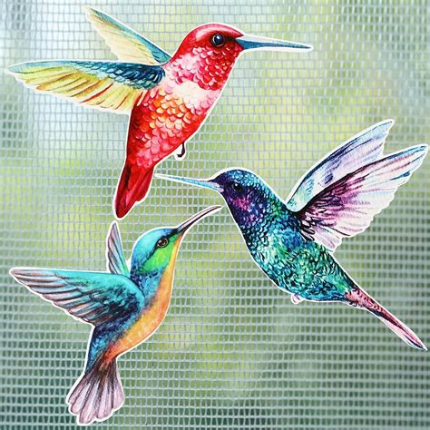 Kanayu 6 imanes de puerta de colibrí para puerta magnética retráctil ...