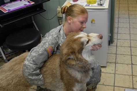 Veterinary facility undergoes renovations | Article | The United States ...