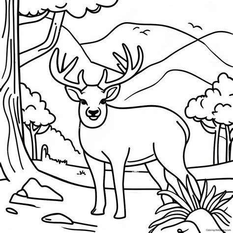 Majestic Great Smoky Mountains Wildlife Coloring Page (63034-49881)