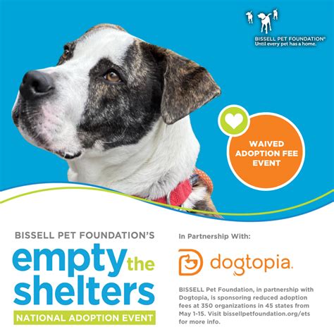 Asheville Humane Spring “Empty the Shelters” Event | Asheville Humane ...
