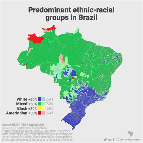 Predominant Ethnic-Racial Groups in Brazil, 2010 Census : r/MapPorn