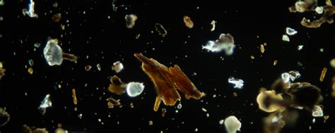 Dust Particles 的图像结果