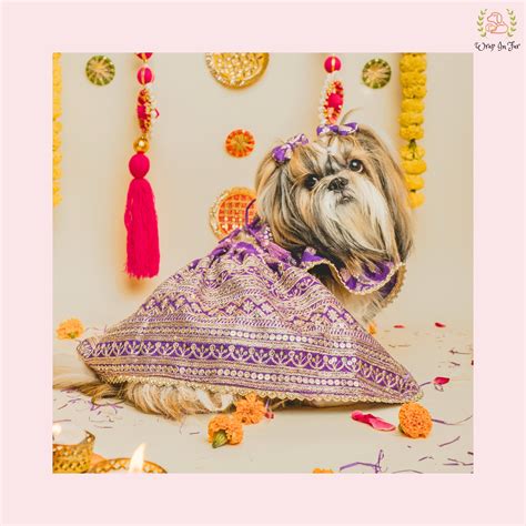 Order Purple Lehenga Choli for dogs online – Wrapinfur