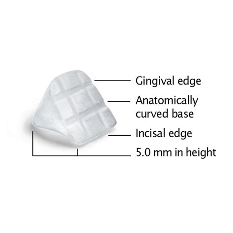 Image result for Buildbite