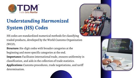 Export Data 的图像结果