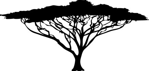 African Trees Silhouette Drawing - tree silhouette png download - 4726*2260 - Free Transparent ...