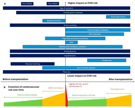 From Risk Assessment to Management: Cardiovascular Complications in Pre ...