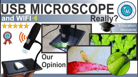 Image result for Digital Microscope Tutorial