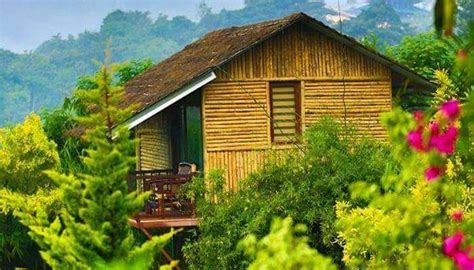 6 Amazing Resorts Near Kalpetta To Enjoy The Natural Escape!