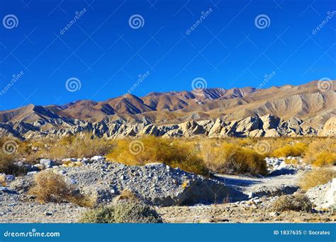 North American Desert stock image. Image of joshua, alone - 1837635