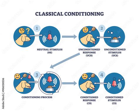Image result for Example of Classical Conditioning