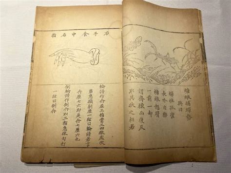 珍稀明刻本《琴书大全》惊艳亮相拍场！400多年前的琴语琴声穿越而来 - 周到上海