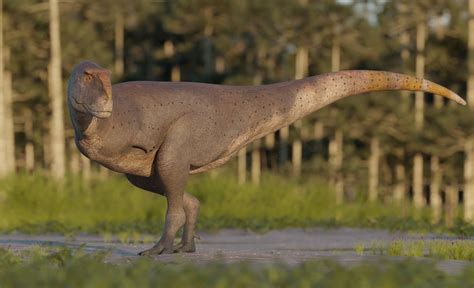 Scientists just dug up a new dinosaur—with tinier arms than a T.Rex | National Geographic