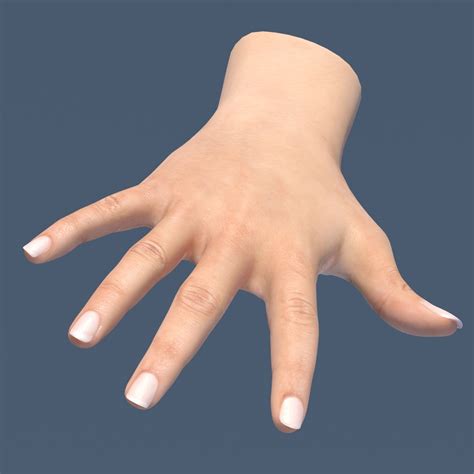 Image result for Female Hand 3D Modeling