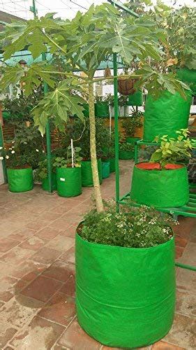 YUVAGREEN Plastic Big Size Terrace Gardening Grow Bag for Fruits ...